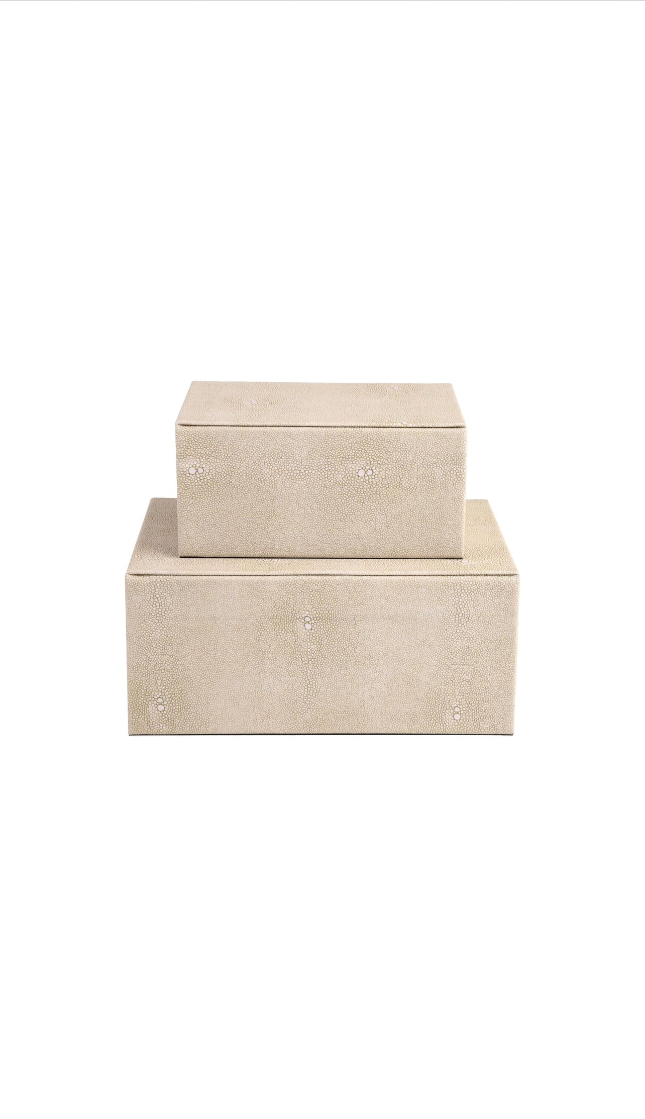 Beige Faux Leather Decorative Boxes set of 2