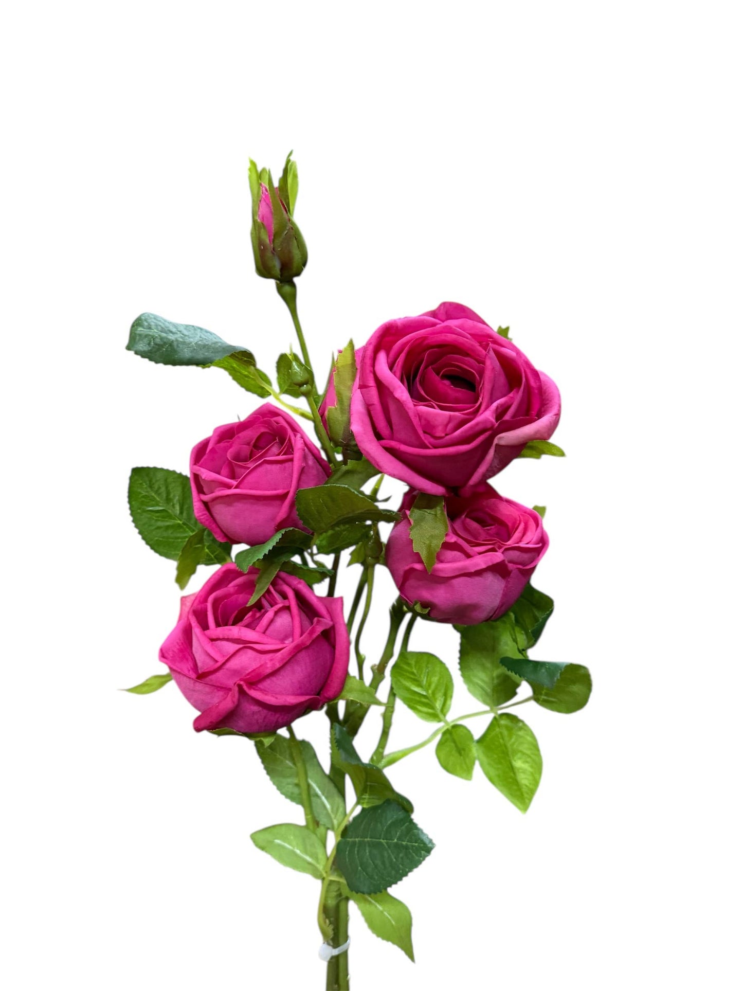 32"Quality Real Touch Roses-6 Blooms and buds