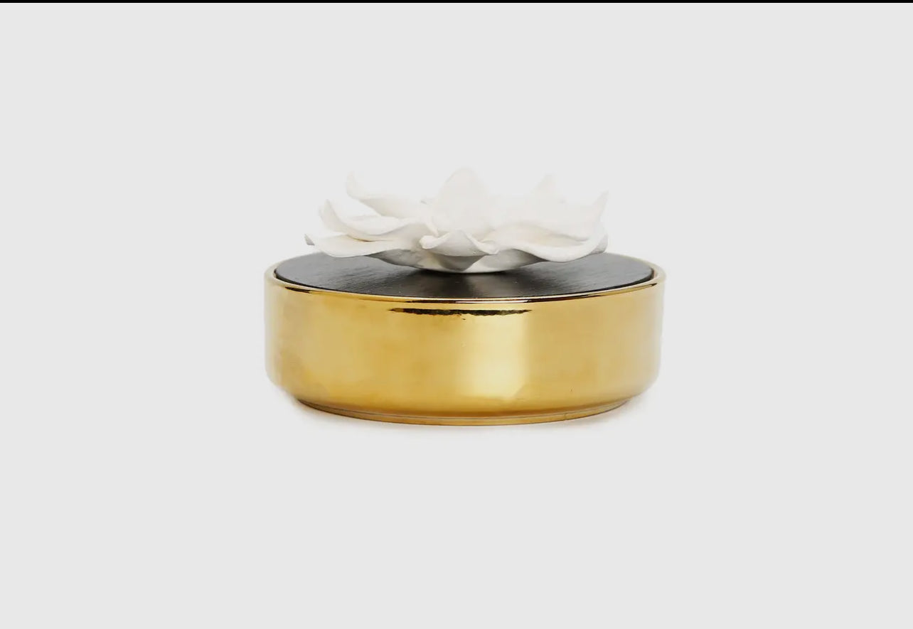 Gold Hemispheric Shape Diffuser
Black Lid/White Flower
